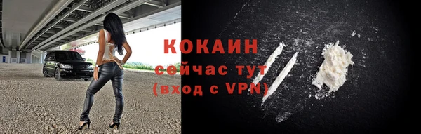 бошки Козельск