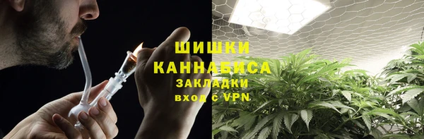 бошки Козельск