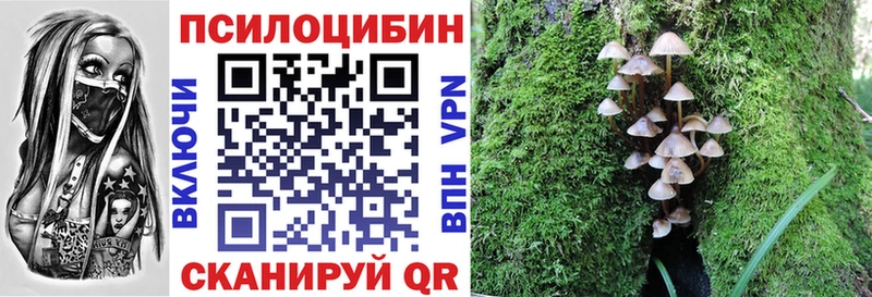 Купить закладки  Жуковка  Галлюциногенные грибы мицелий 